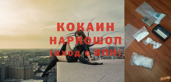 индика Алексин