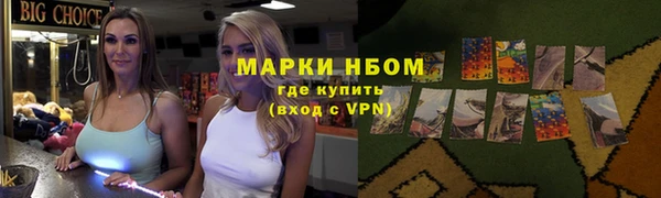 индика Алексин