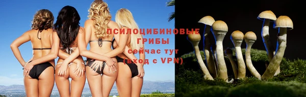 спайс Алзамай