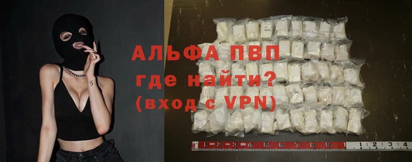 индика Алексин