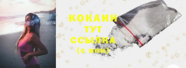 спайс Алзамай