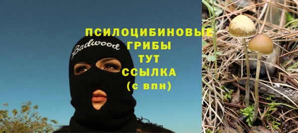 спайс Алзамай