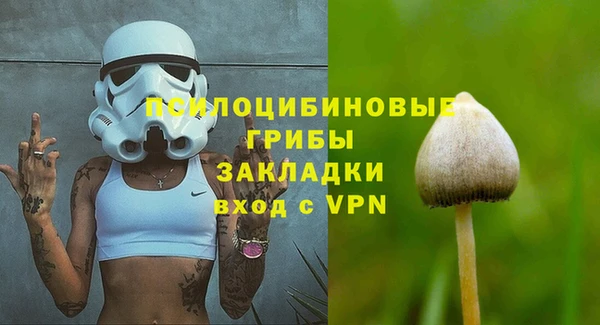 спайс Алзамай