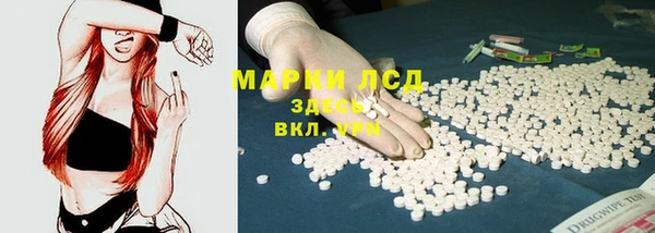 спайс Алзамай